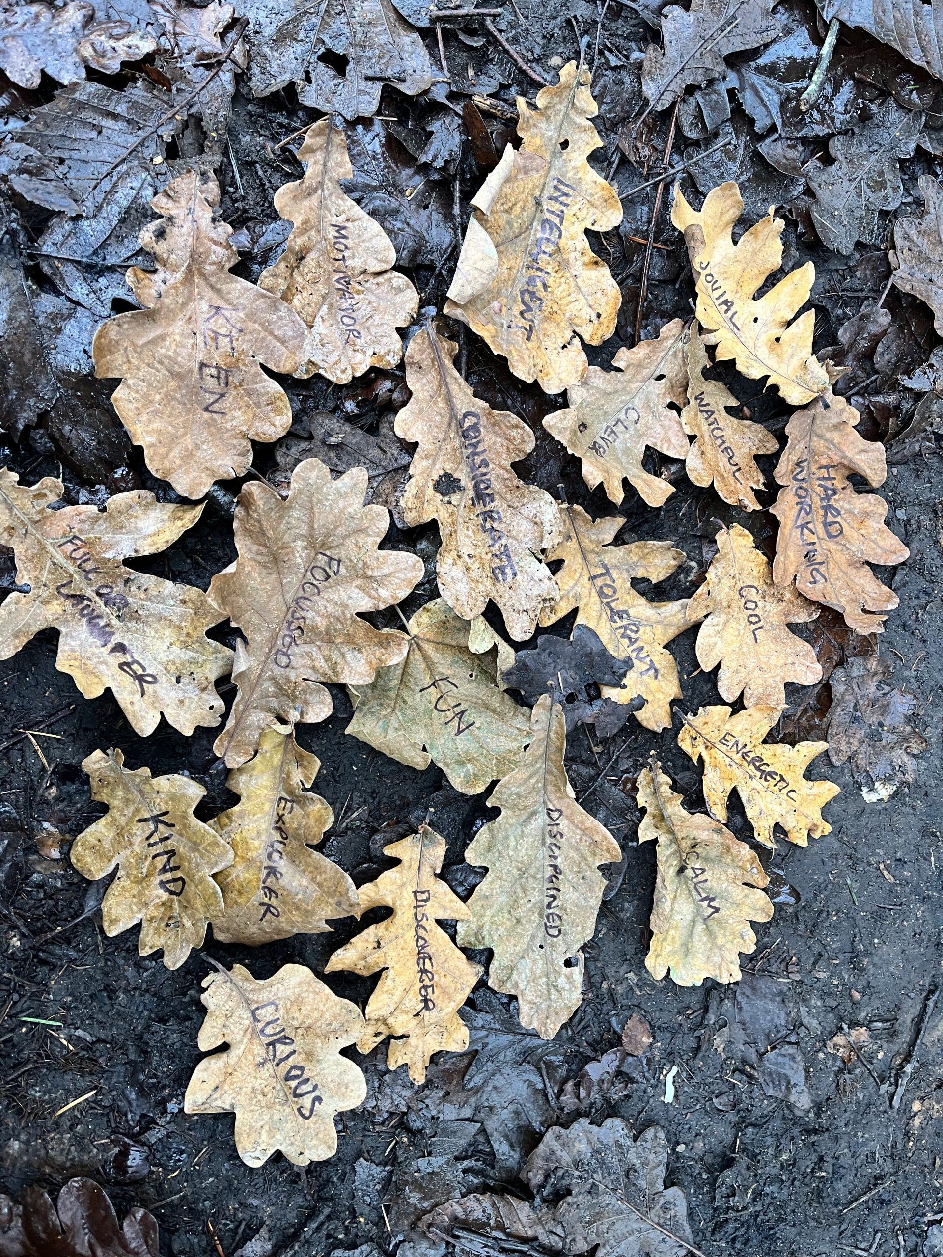 Leaves with words written on them