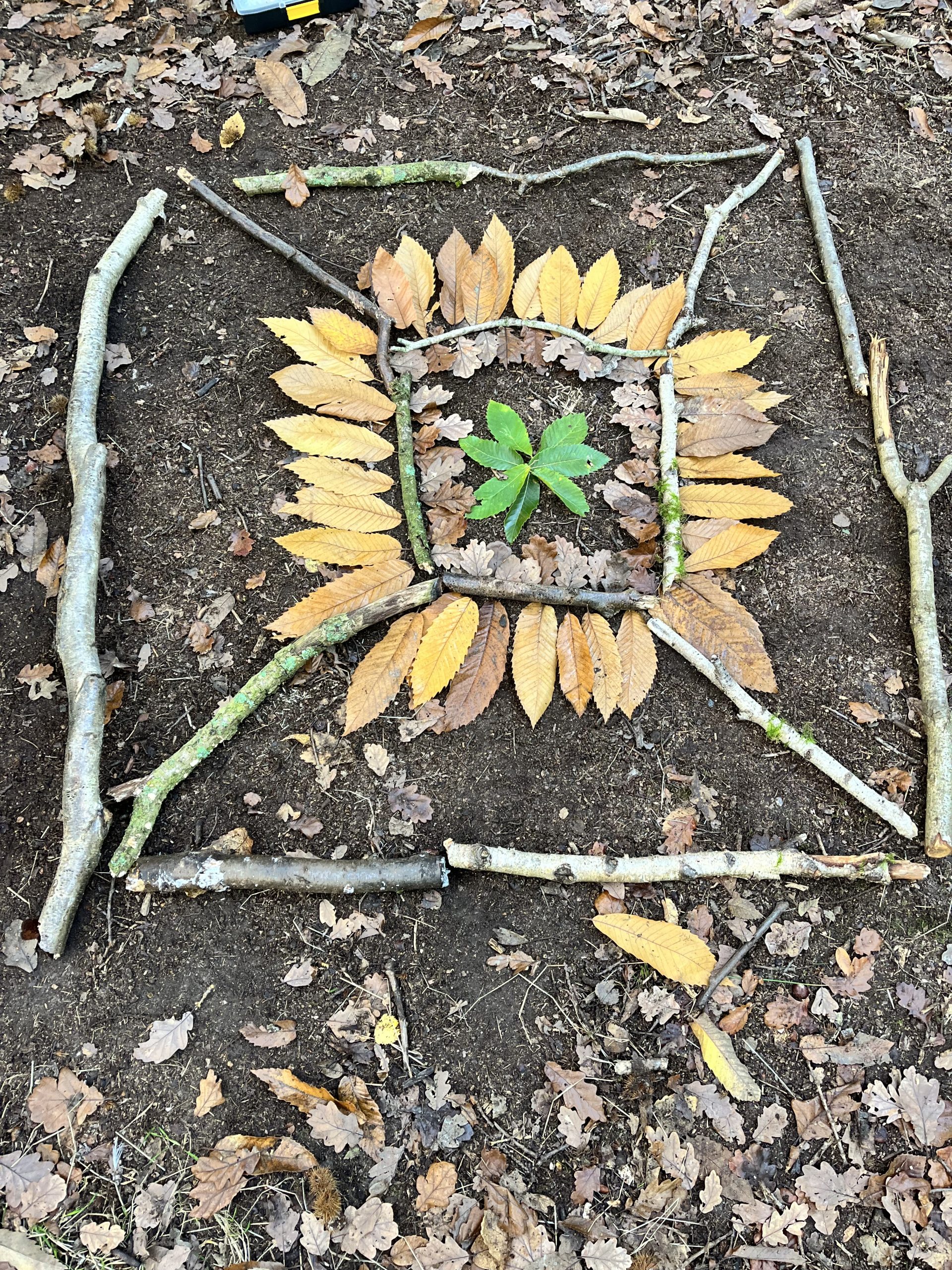 Mandala creation in the woods using natural materials