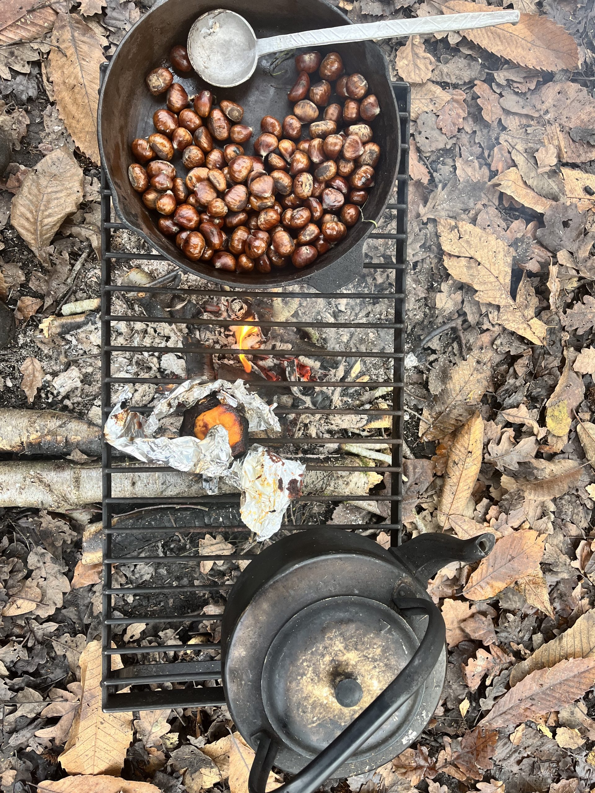 Chestnuts and a kettle cooking over a fire